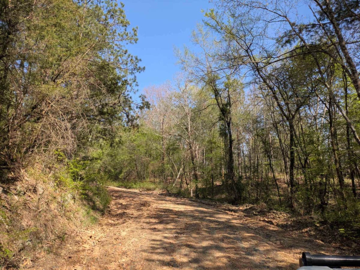 Route 4 photo 3