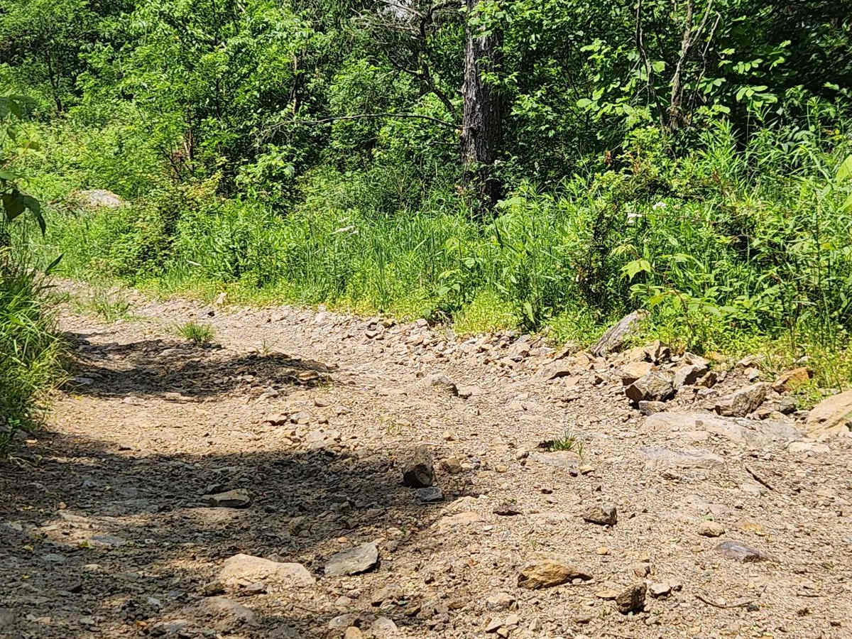 Trail 13E- Rock Run Recreation photo 5