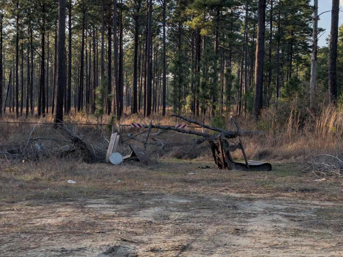 Mud Creek Road photo 4