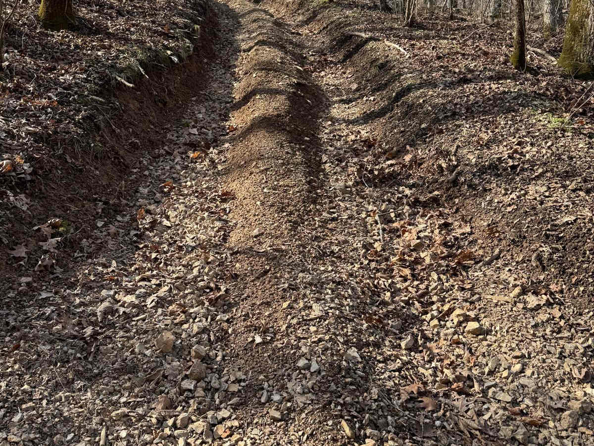 Yellow 419 trail photo