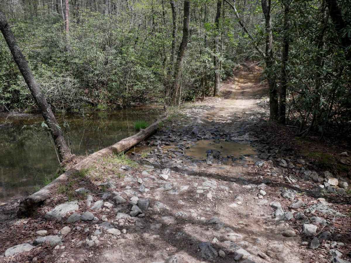 Trail 4 Kirby's Loop photo 5