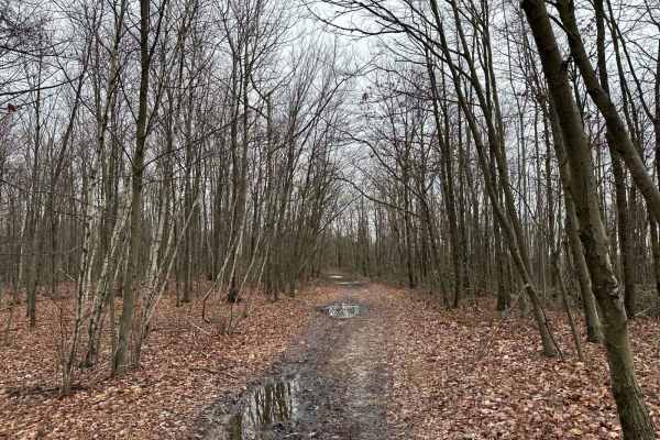ATV Trail 71