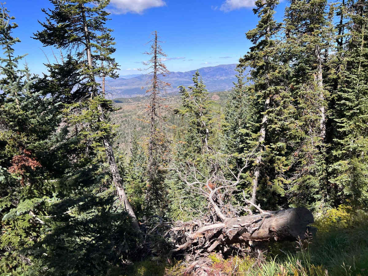 Mount Dutton - Cottonwood (30125/30353) photo 2