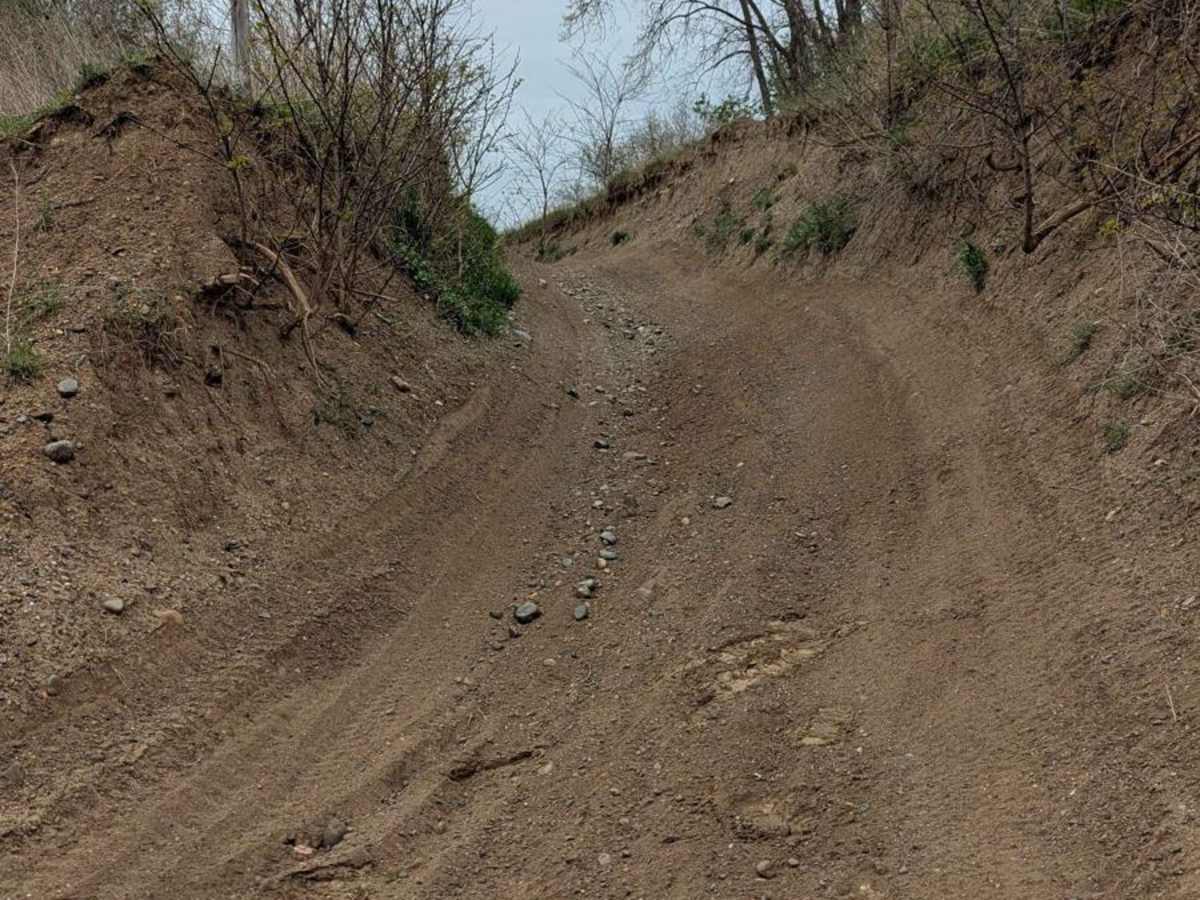 Rat's Nest trail photo