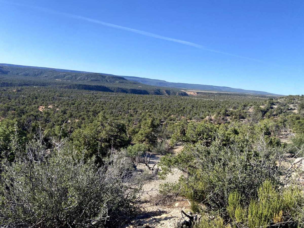 BLM Route 018 photo 4