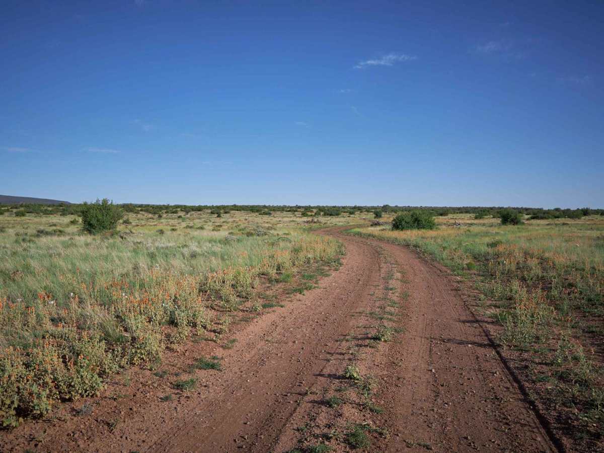 Prairie Blast / FR 27 photo 4