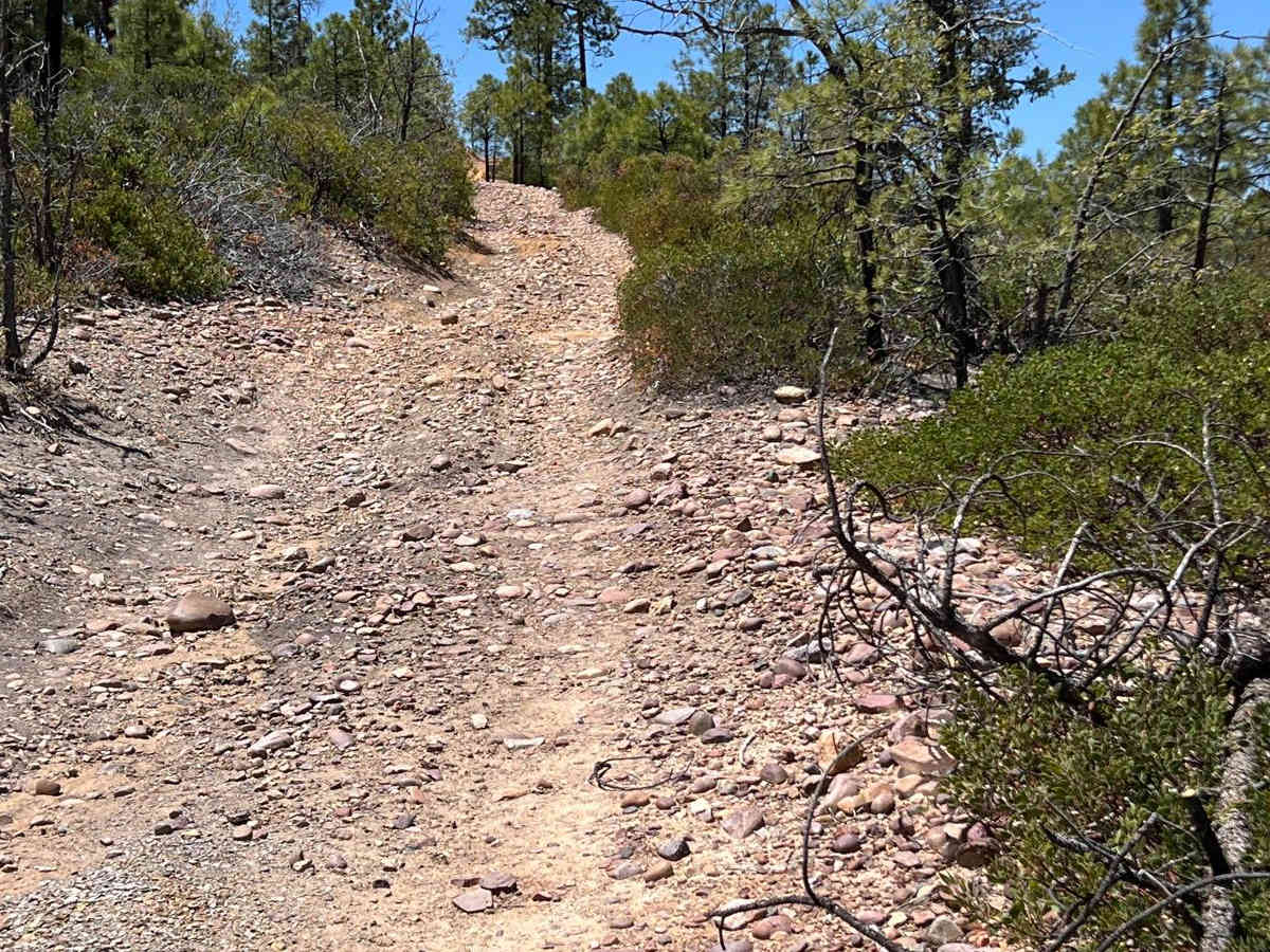 Straight Ridge photo 4