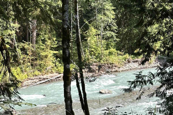 Nooksack River Trail