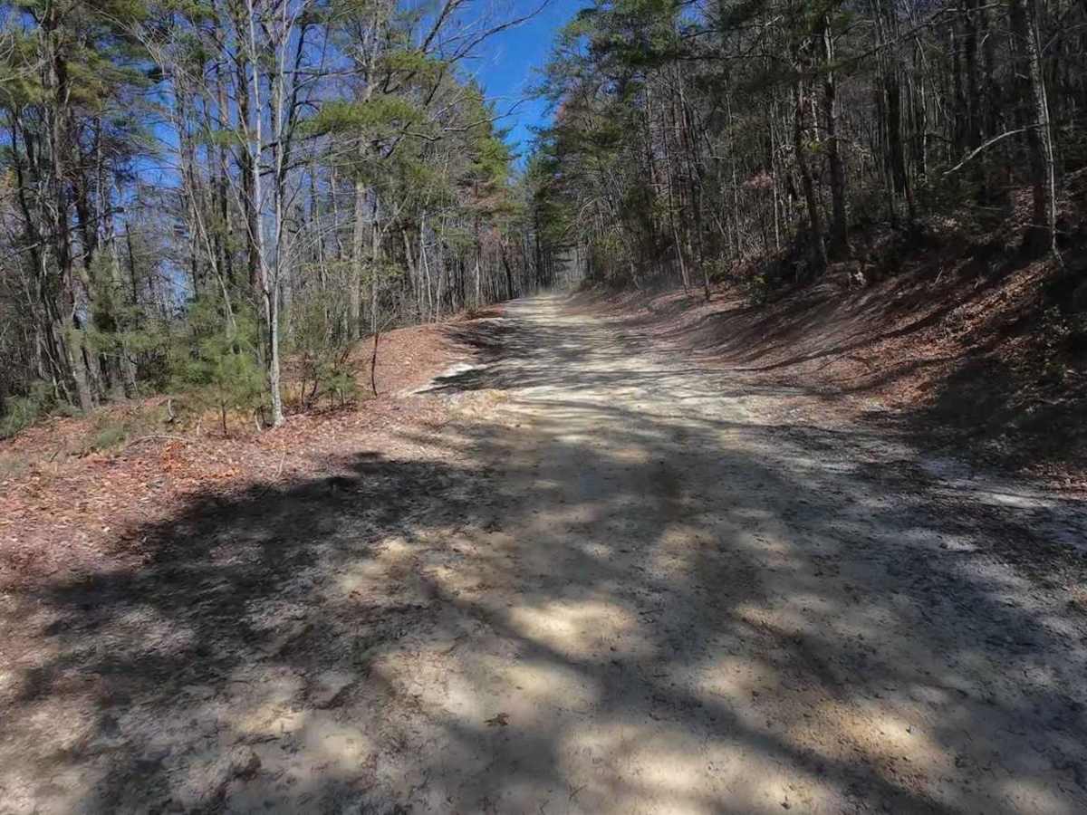 Jackie's Ridge Road photo 5