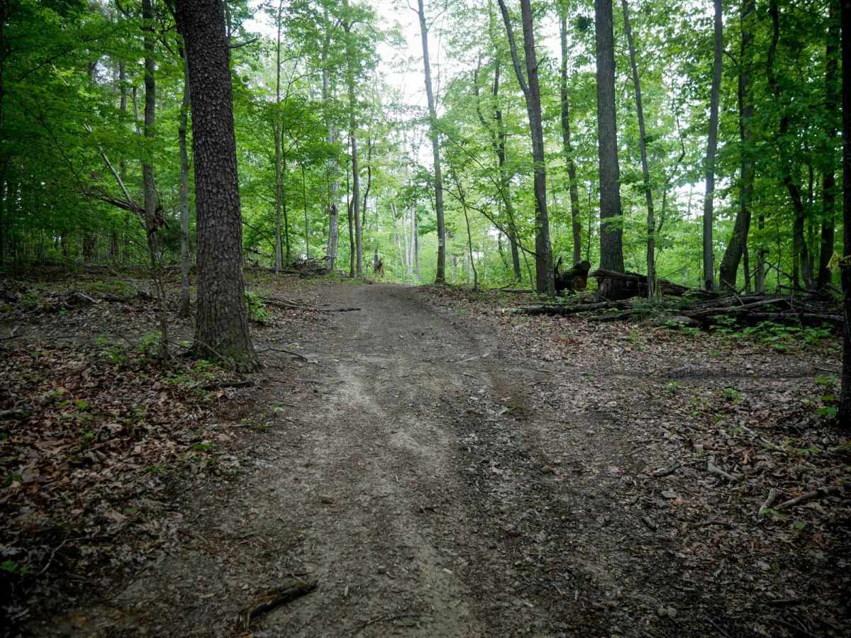 Trail 8 photo 4