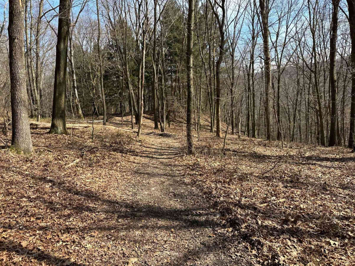 Ashland 98 photo 5