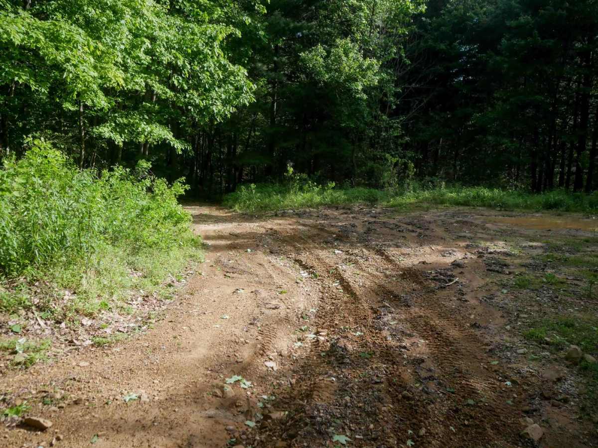 RV23 photo 3