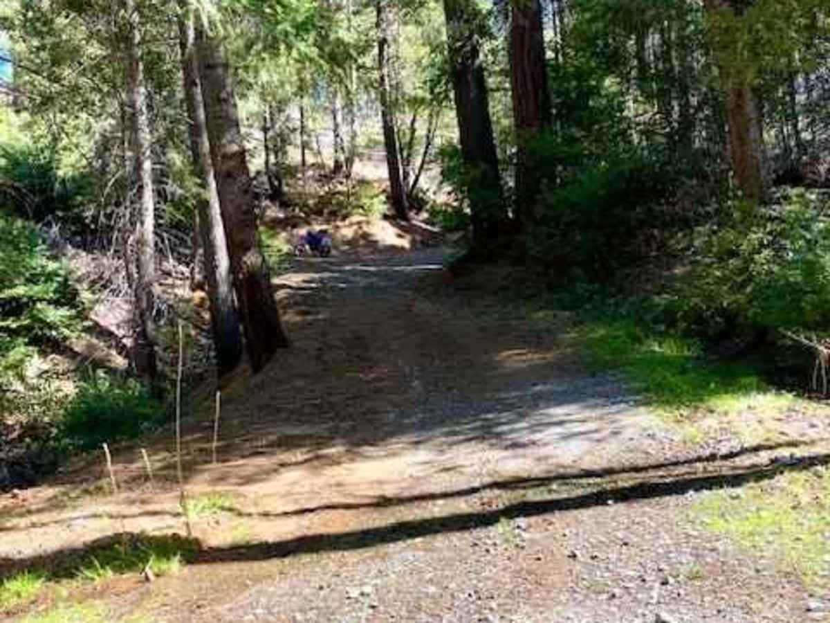 Forebay photo 5