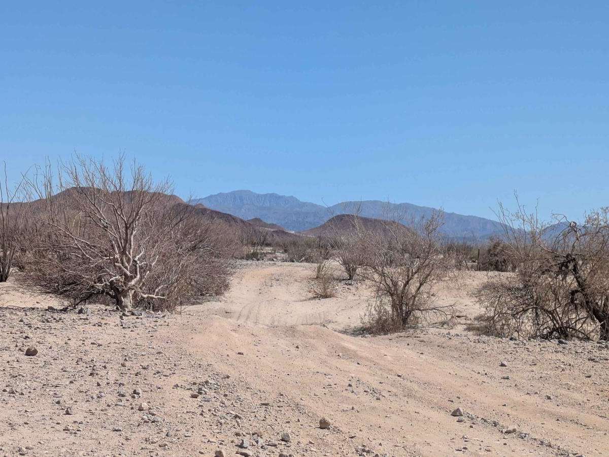 La Carrera De La Bobina Del Desierto trail photo