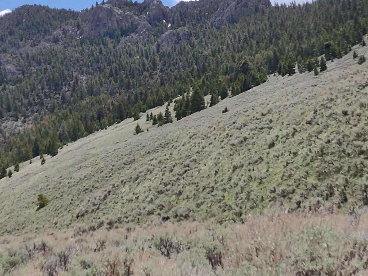 Arco Pass to Horsethief Spur #6 photo 5
