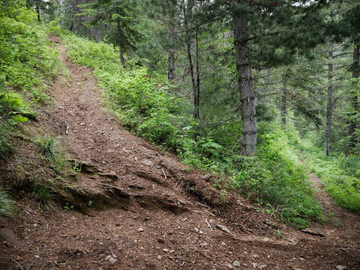 Flume Creek photo 4