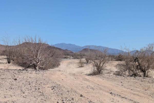 La Carrera De La Bobina Del Desierto