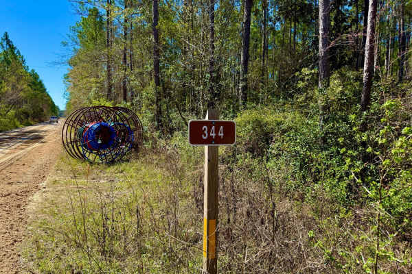 Otter Camp Road - FS 344