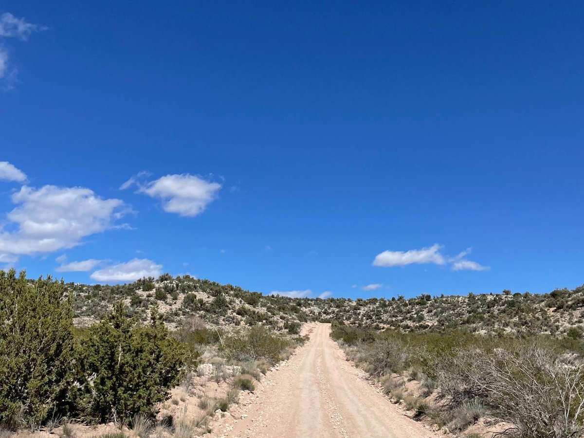Buckboard Road/FR 258 photo 3