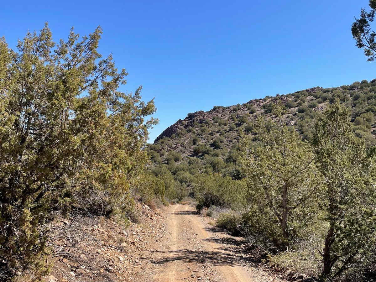 Copper Road Connector trail photo