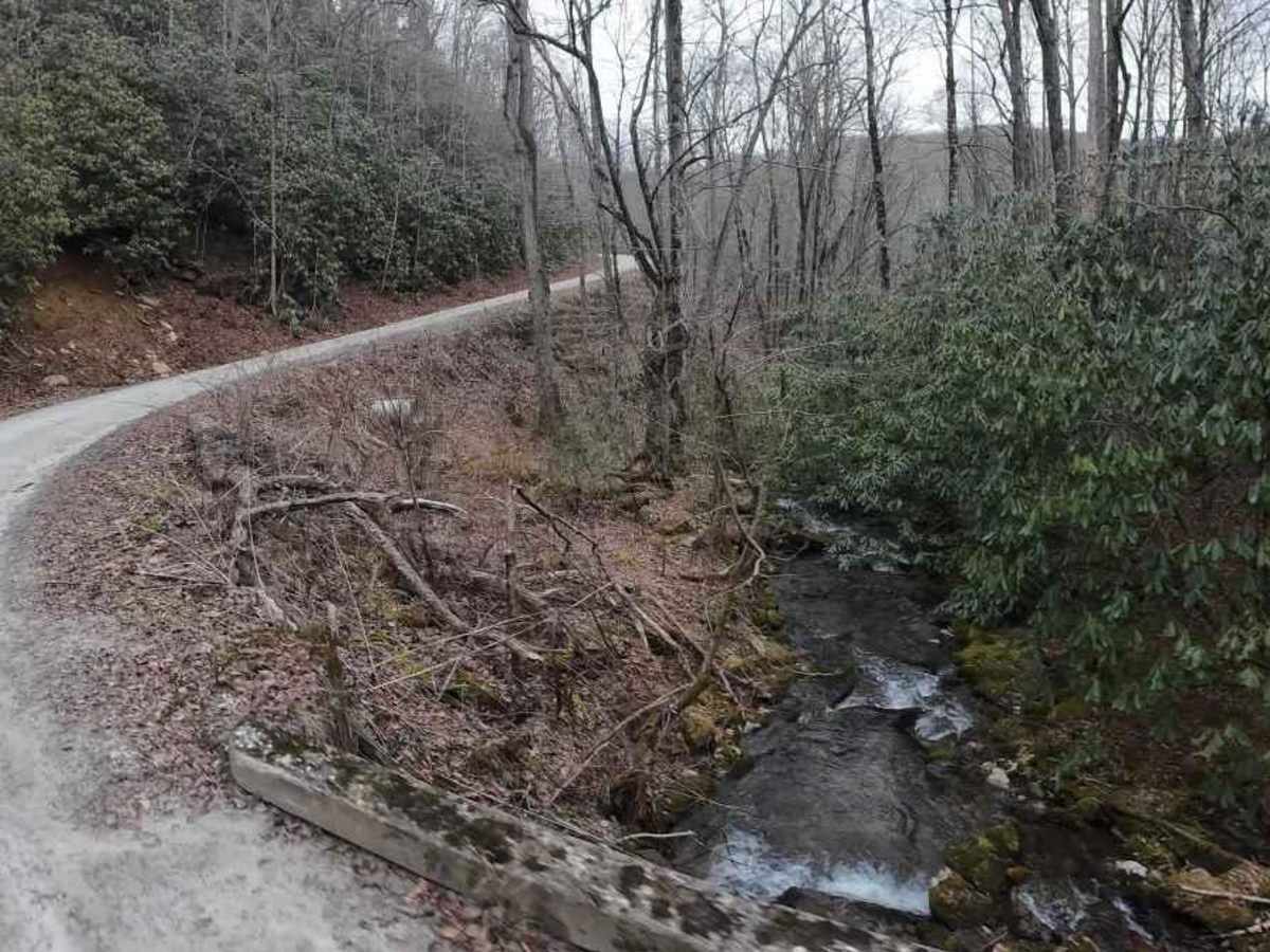Tuni Gap Road - FS 440 trail photo
