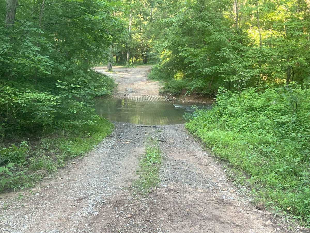 Dry Cr Branch B - Forest Road 226B photo 6
