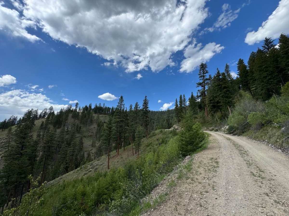 Shook Mountain photo 5