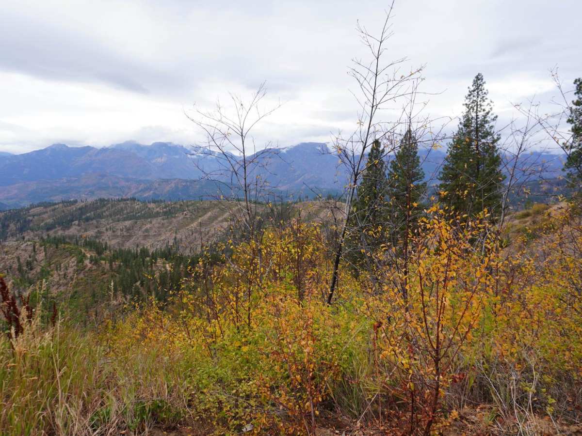 Blag Mountain photo 6