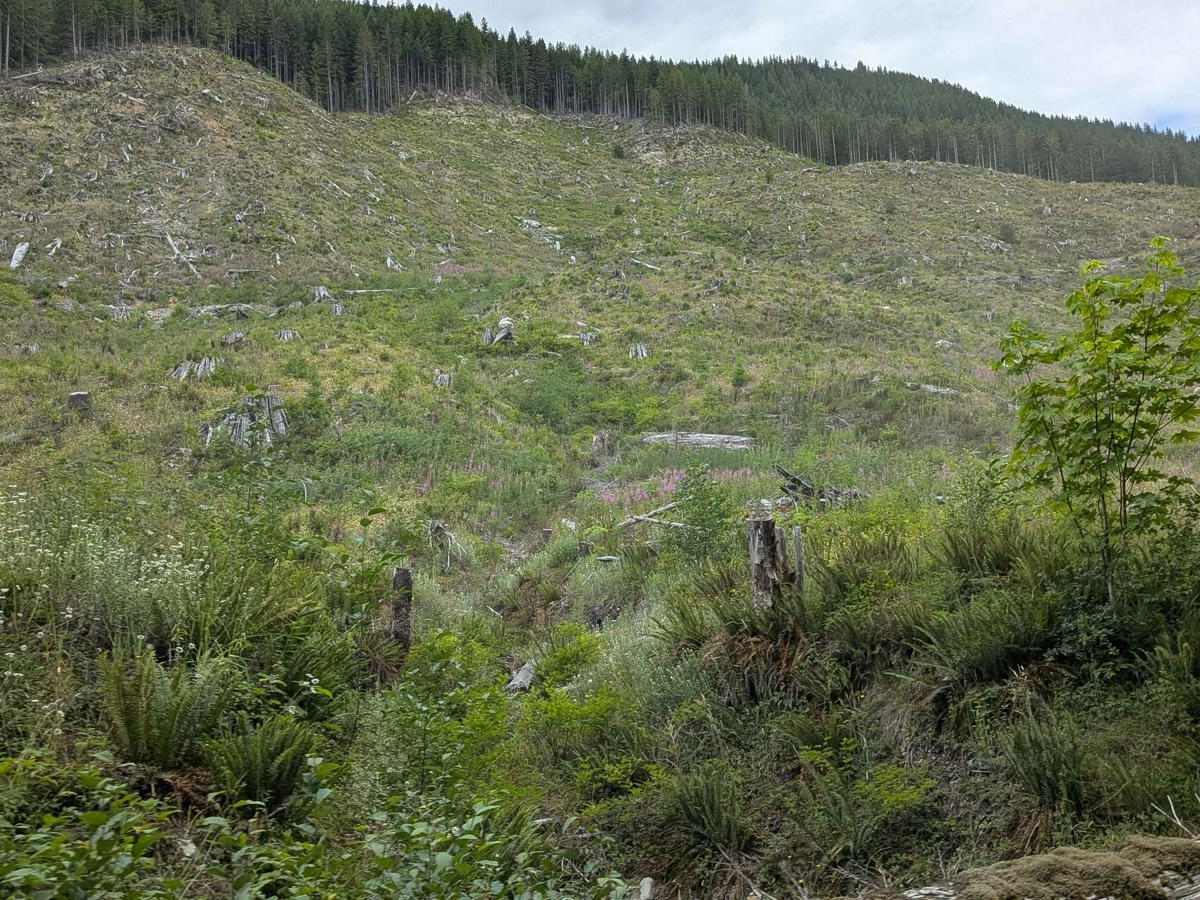 Gordon River Road North photo 5