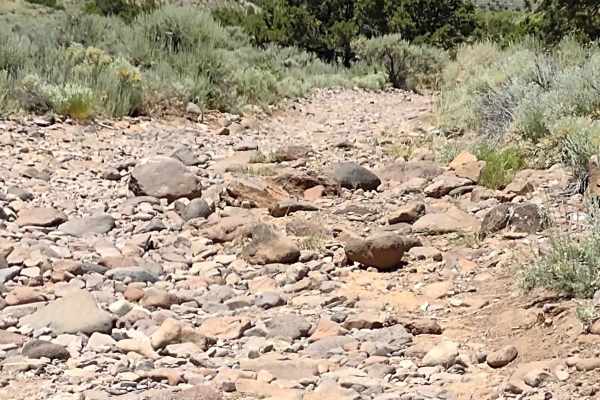 City Creek Canyon (FS# 40133)