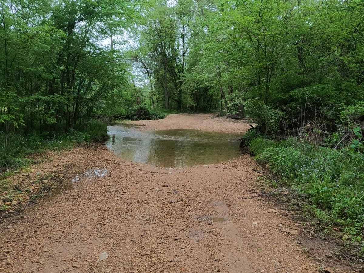 Hackworth Hollow Trail photo 4