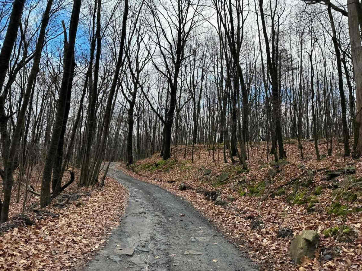 ATV Trail 43 photo 3