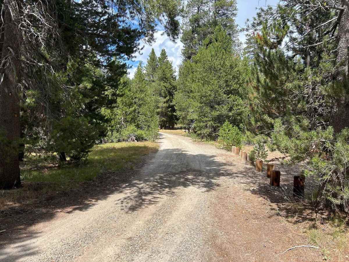 Sample Meadow Campground photo 3