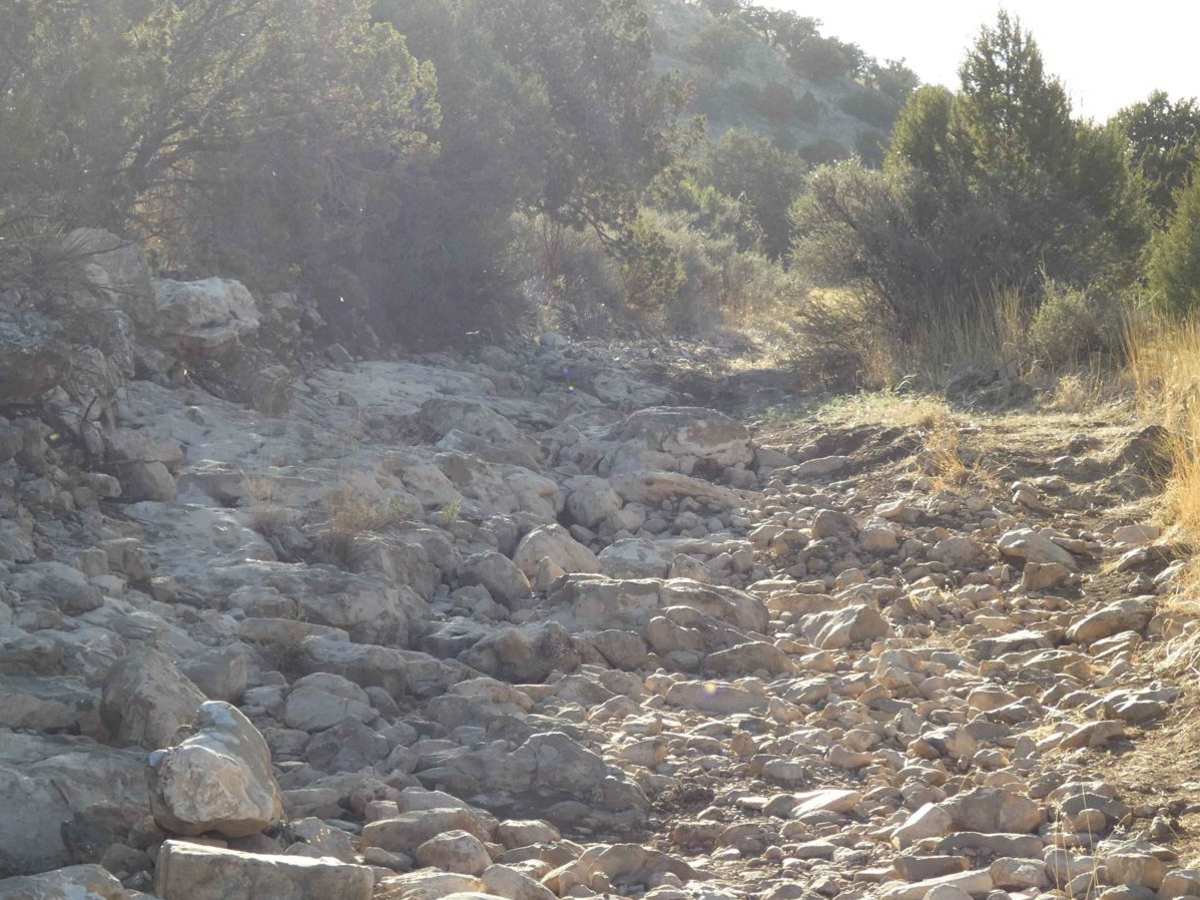 Redwater trail photo