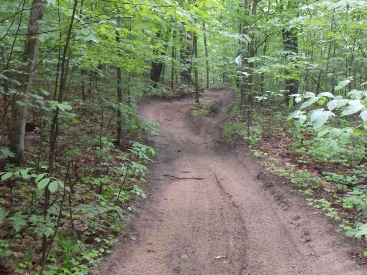 Kalkaska ORV Trail - North photo 5
