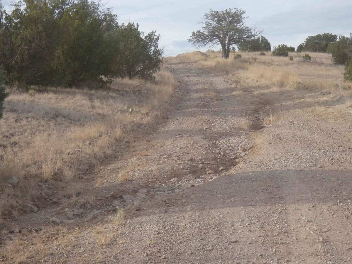Old Spanish Trail photo 6