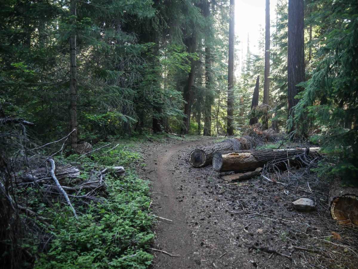 575C trail photo