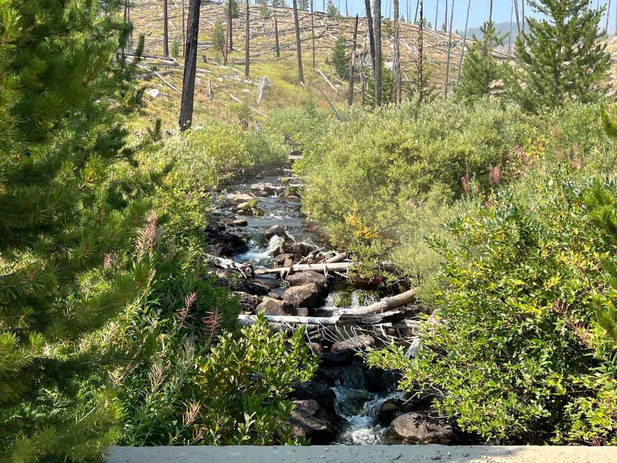 War Eagle Lookout Tower Trail photo 2