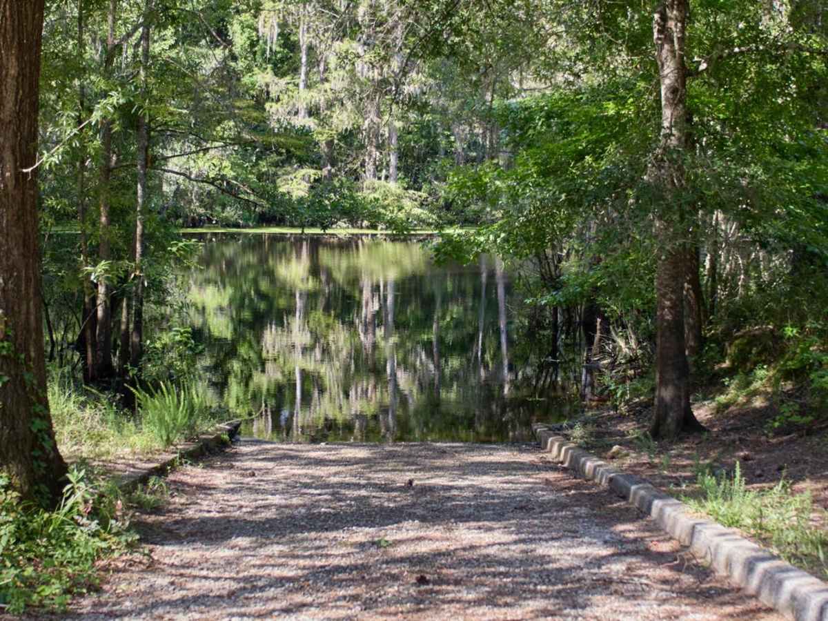 Bluff Lake Access photo 4