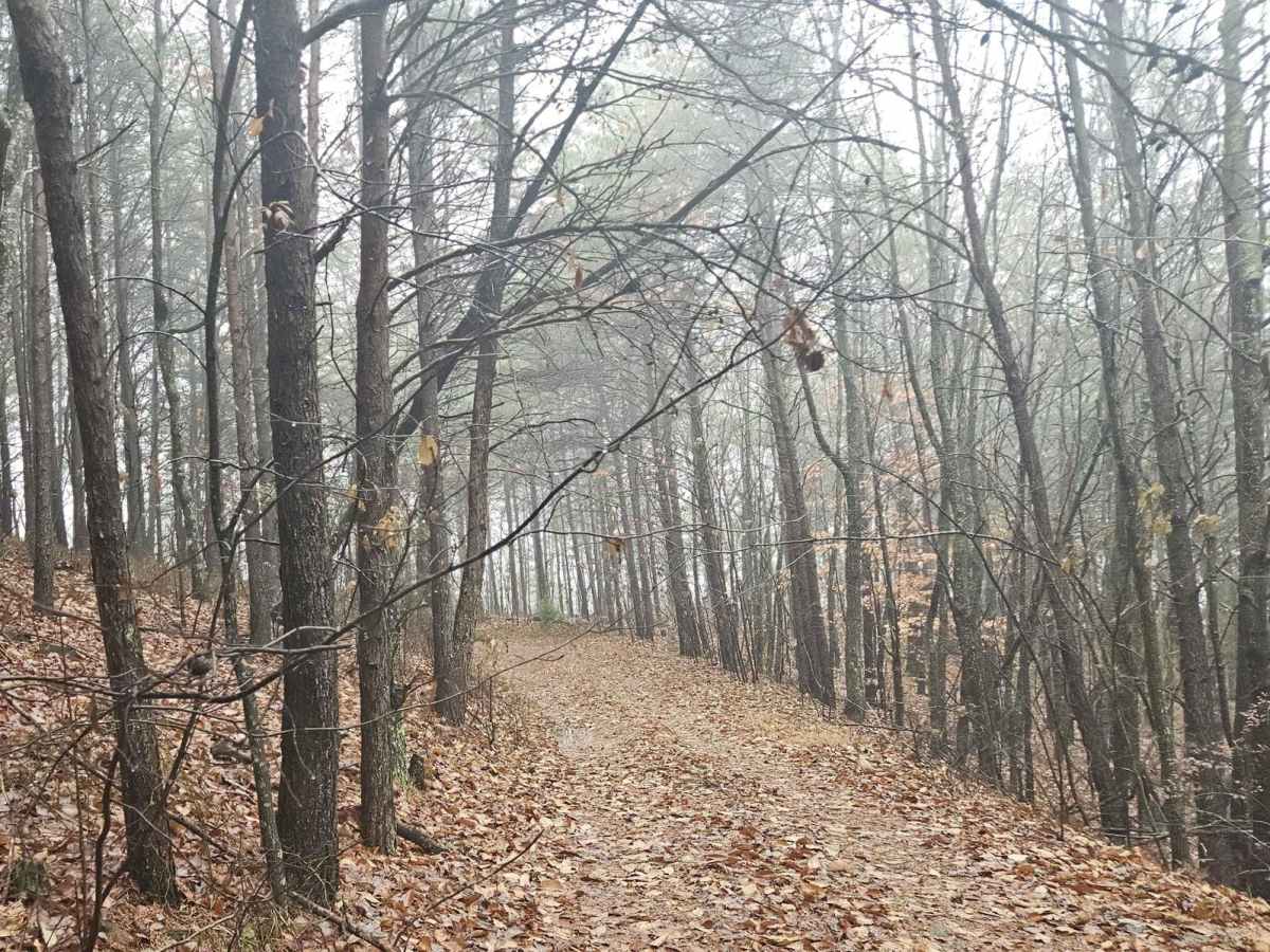 Chestnut Mountain (212A) photo 2