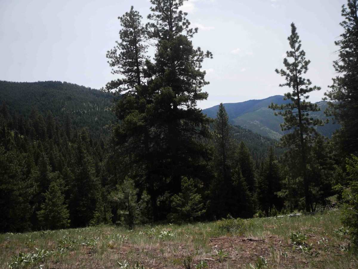 Trail #185 (Part 1) photo 6