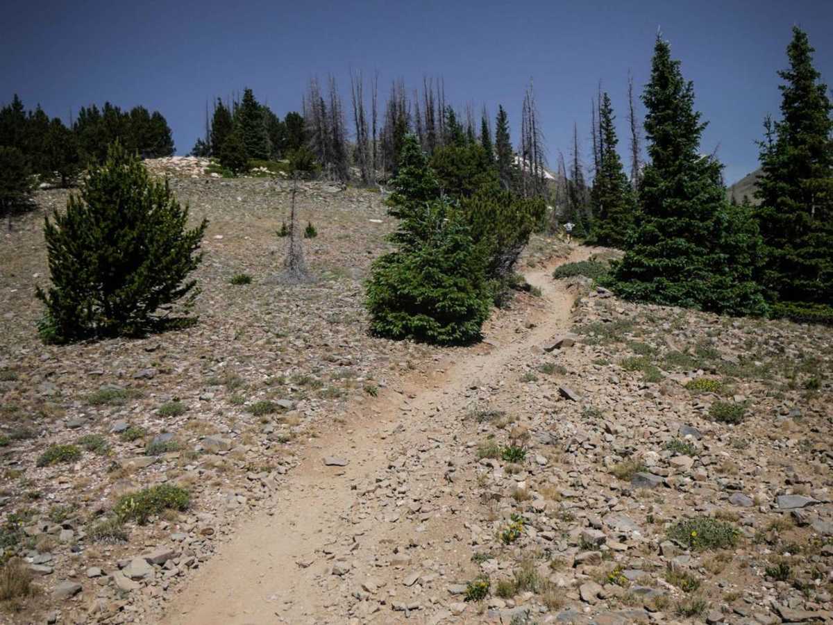 Monarch Crest photo 5