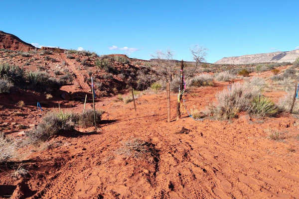 Middle Highlands - Single Track