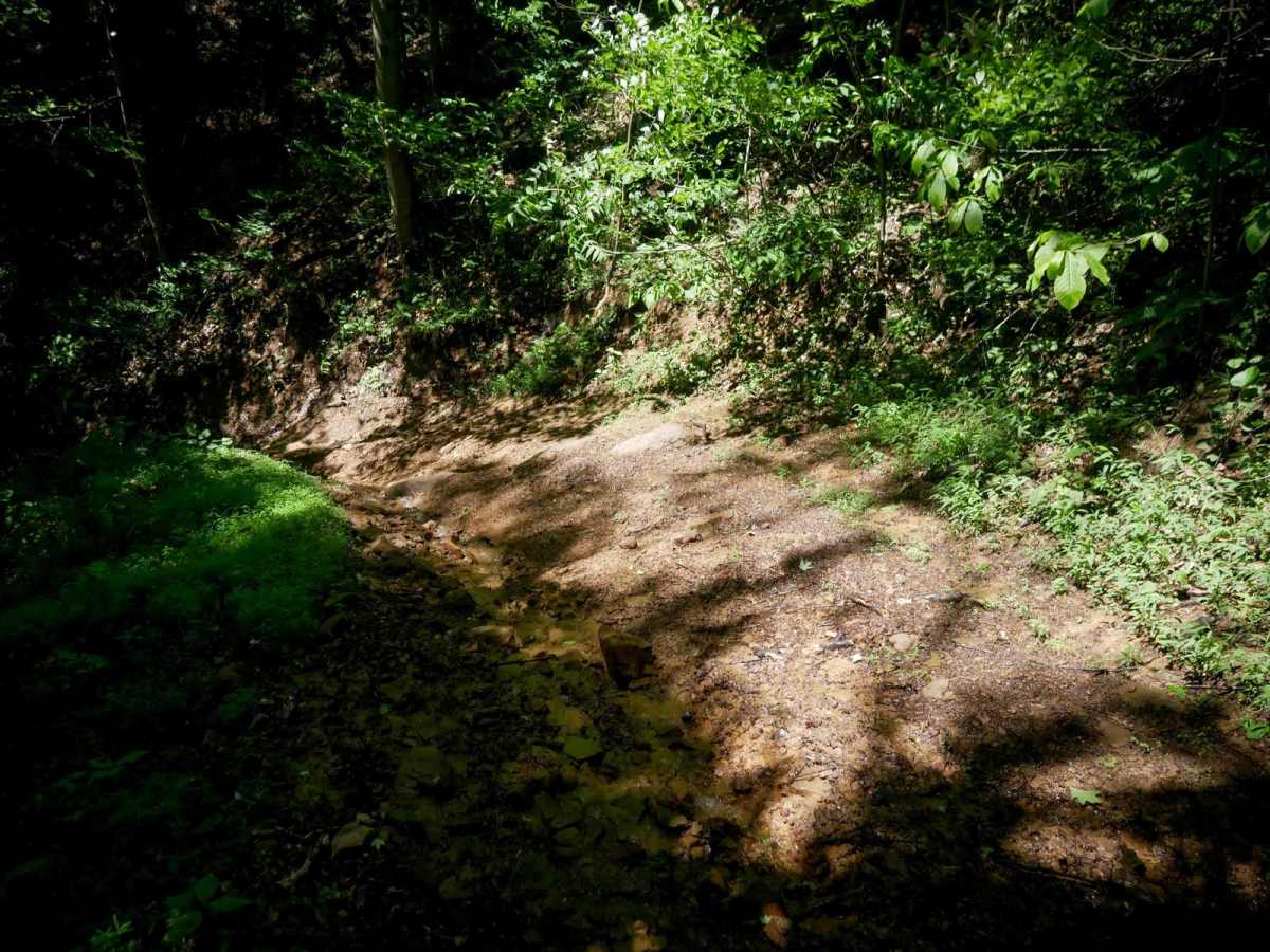 CC67 photo 4