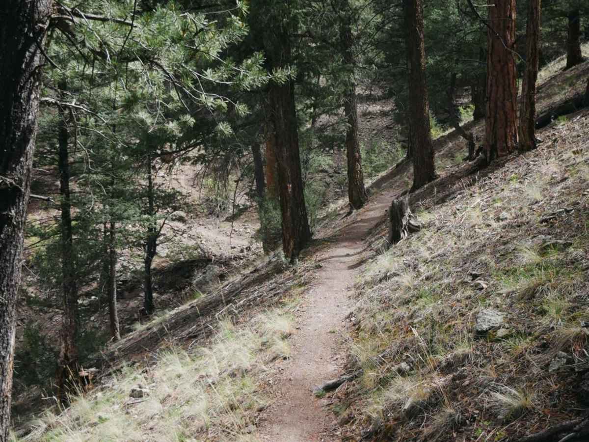 Palisade Trail trail photo