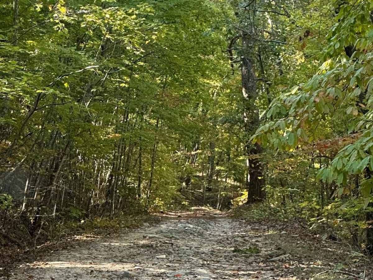 FS600-2 trail photo