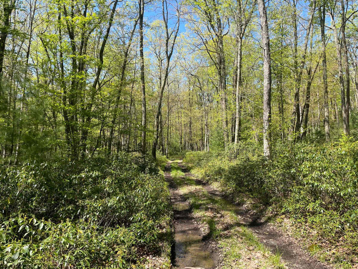 Little Poe Trail photo 5