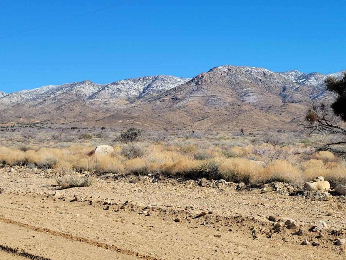 Spur Loop to Chloride AZ Peace Trail Connector (Northeast) photo 4