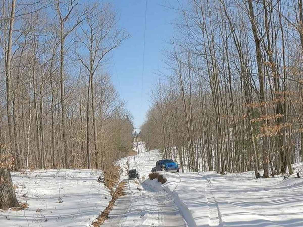 Portage Lake Fire Tower Trail photo 6