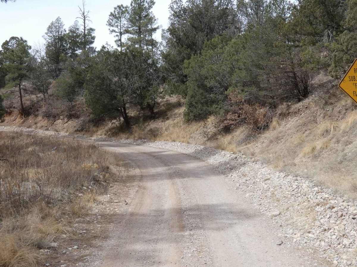 Curtis Canyon trail photo